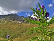 Cima Foppazzi (2097 m) e Cima Grem (2049 m) da Alpe Arera -22ag22- FOTOGALLERY